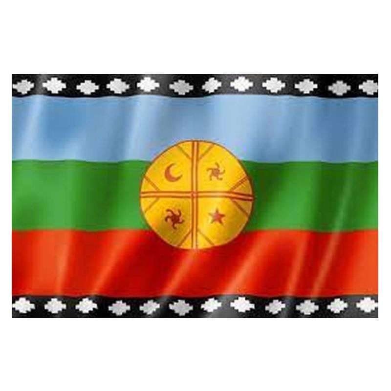 FELIZ - Bandera Mapuche Pueblo  Movimiento Mapuche Bandera Chile