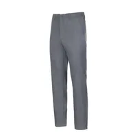 Pantalón Básico Frente Plano Gris