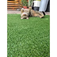 Pasto sintético 8mm 5mts x 2mts 10m2