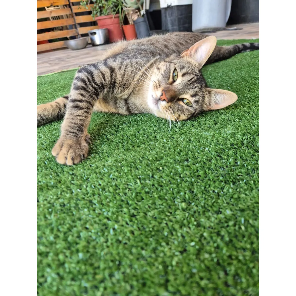 GENERICO - Pasto sintético 8mm 2mts x 1mt