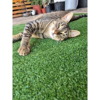 Pasto sintético 8mm 2mts x 1mt