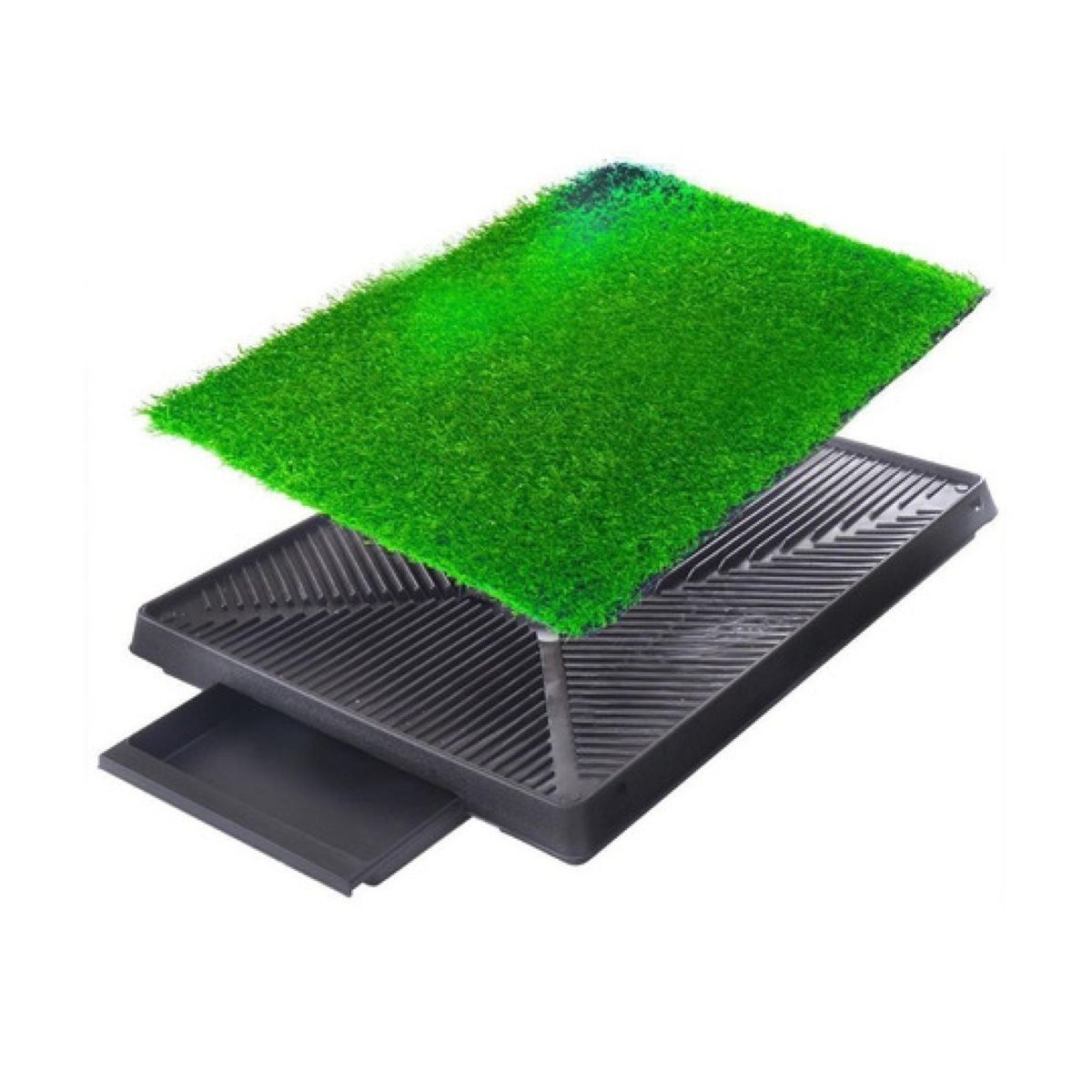 GENERICO - Baño Ecologico 4 Niveles Para Mascotas Perros Y Gatos