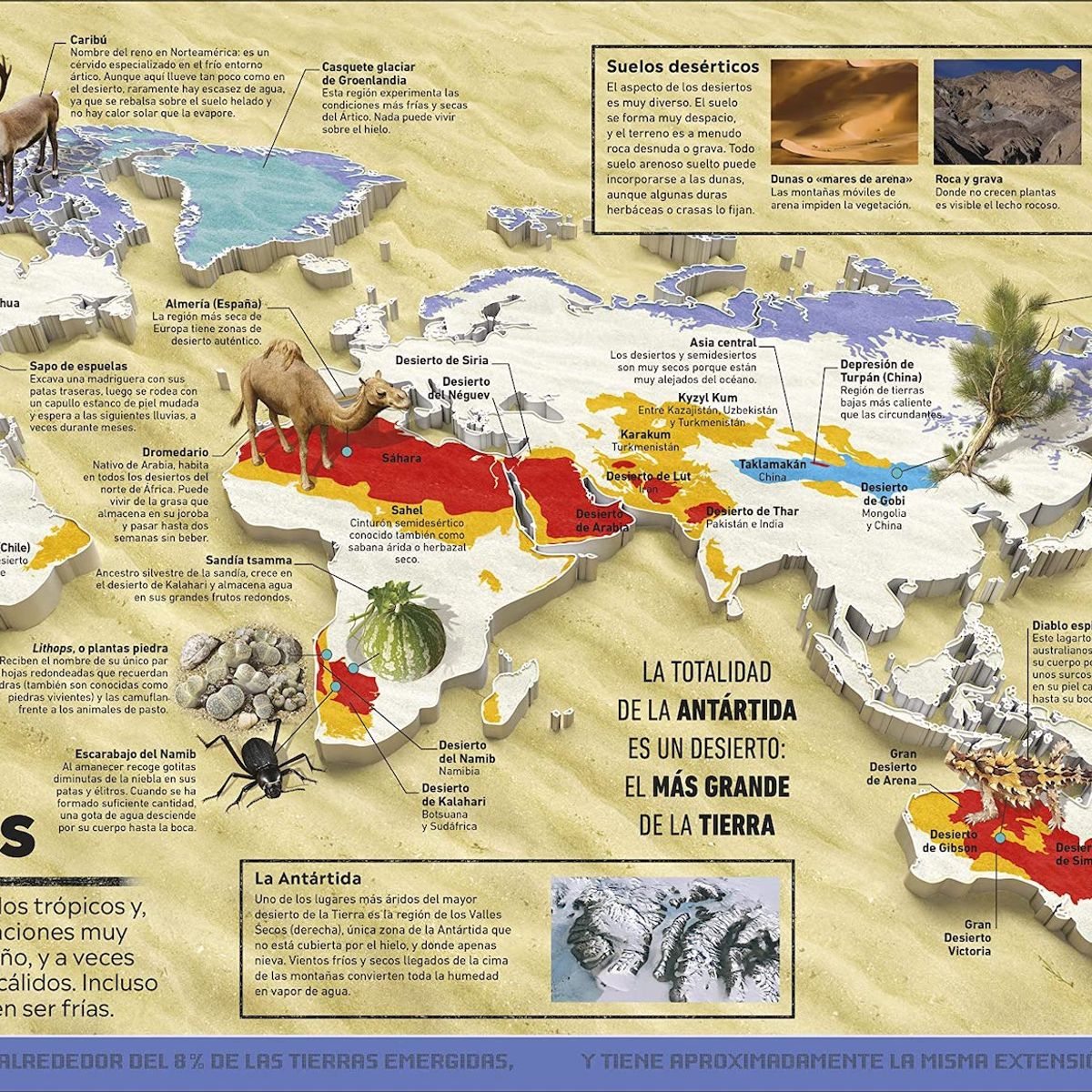 EDITORIAL DK - Dk Enciclopedia Atlas De Las Curiosidades