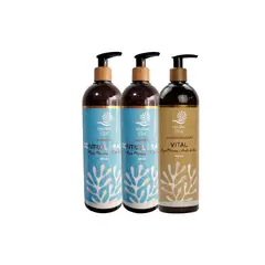 MARINA VITAL - 2 Shampoo Control Graso Y Acondicionador