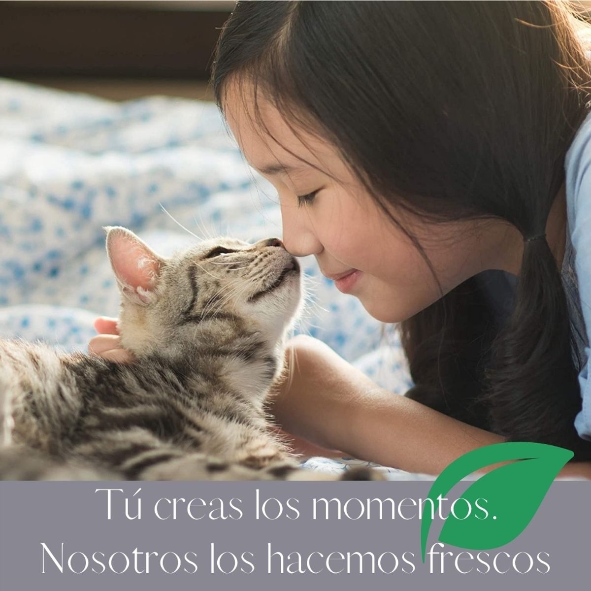 TROPICLEAN - Shampoo En Seco Gato Limpieza Profunda Tropiclean 220 Ml.