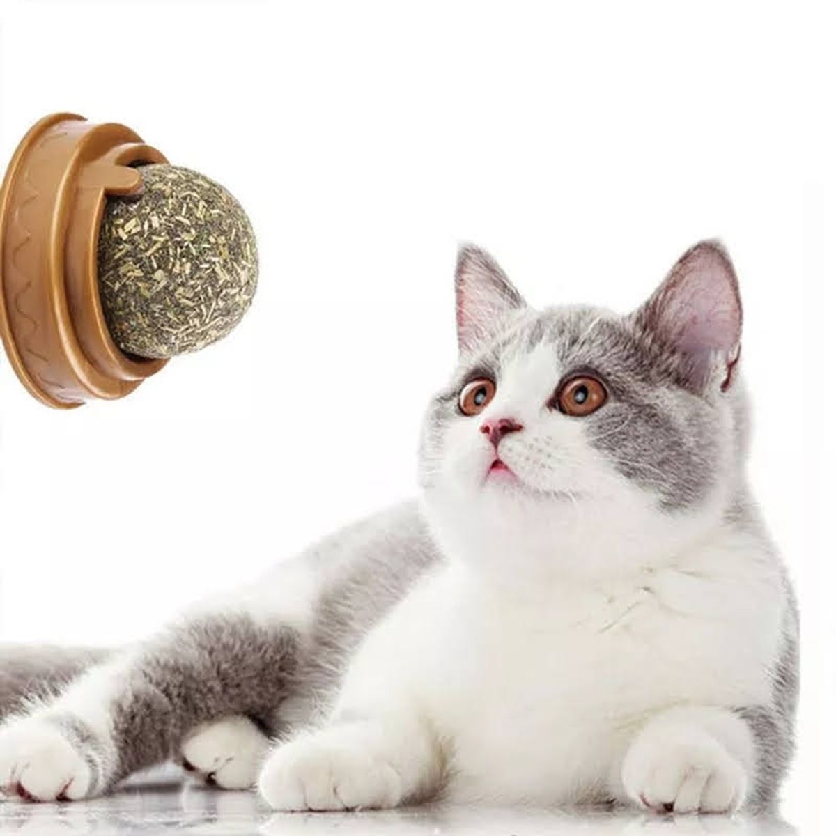 GENERICO - Hierba Gatera Tipo Bolita Prensada Snack Para Pared Verde.