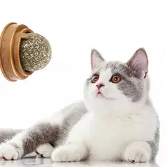 GENERICO - Hierba Gatera Tipo Bolita Prensada Snack Para Pared Verde.