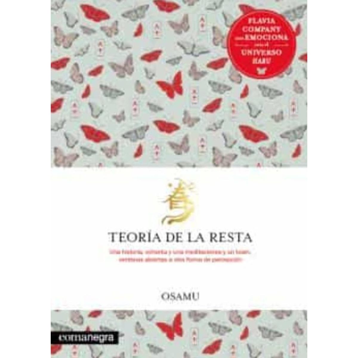 TOP10BOOKS - LIBRO Teoria De La Resta - Flavia Company
