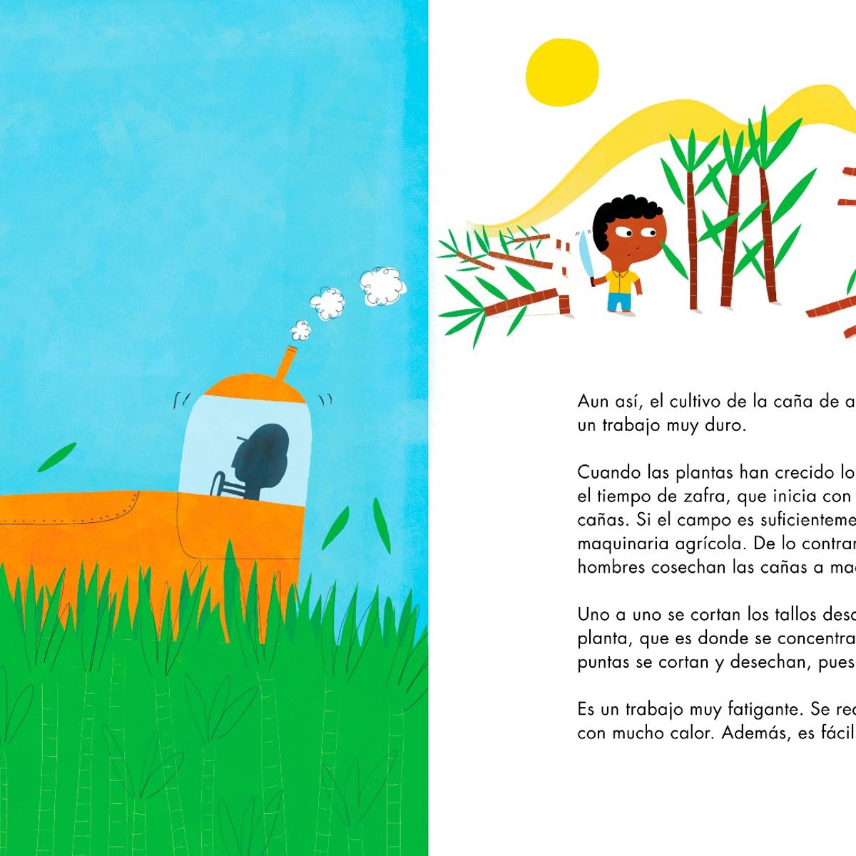 ZIG ZAG - El Azúcar