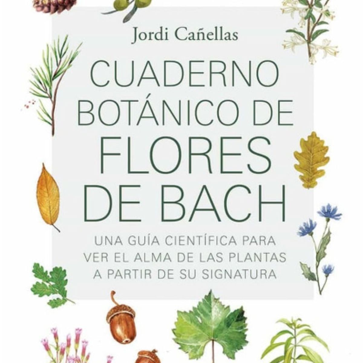 TOP10BOOKS - LIBRO Cuaderno Botanico De Flores De Bach - Jordi Cañellas