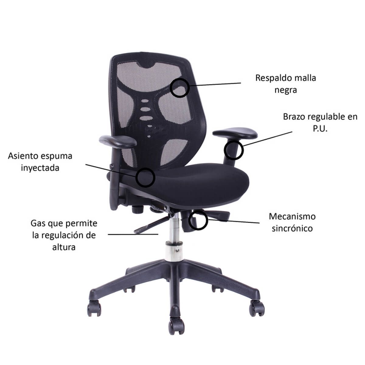 BOOKSTORE - Silla de Escritorio Rodas Base nylon