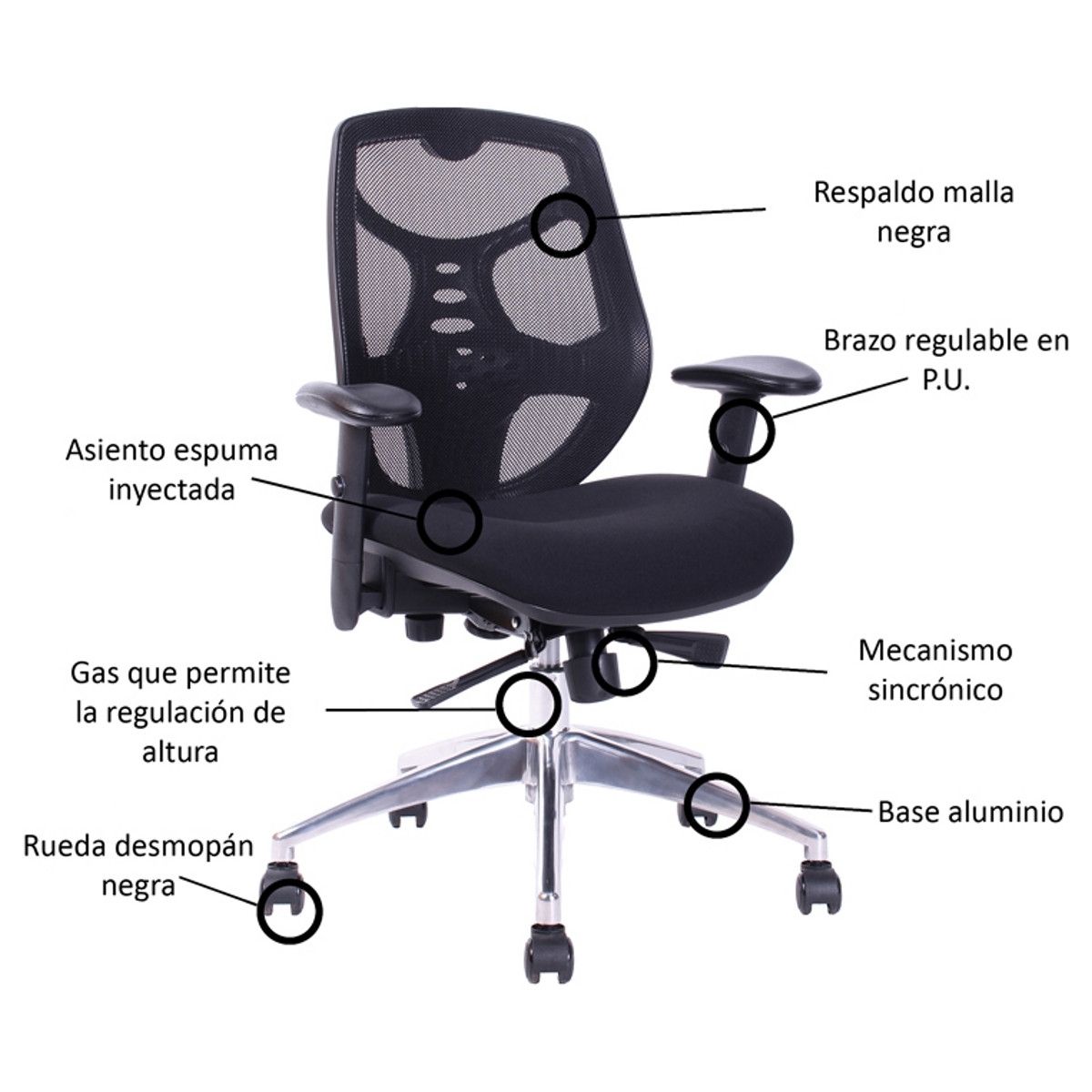 BOOKSTORE - Silla de Escritorio Rodas Base Aluminio