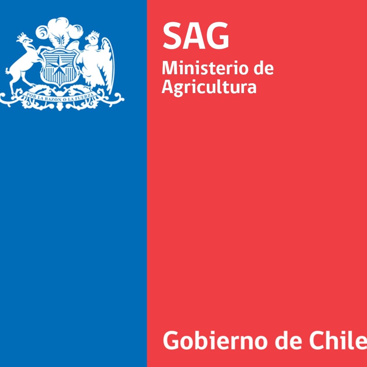 BOEHRINGER INGELHEIM - Previcox 227mg - Firocoxib 227mg