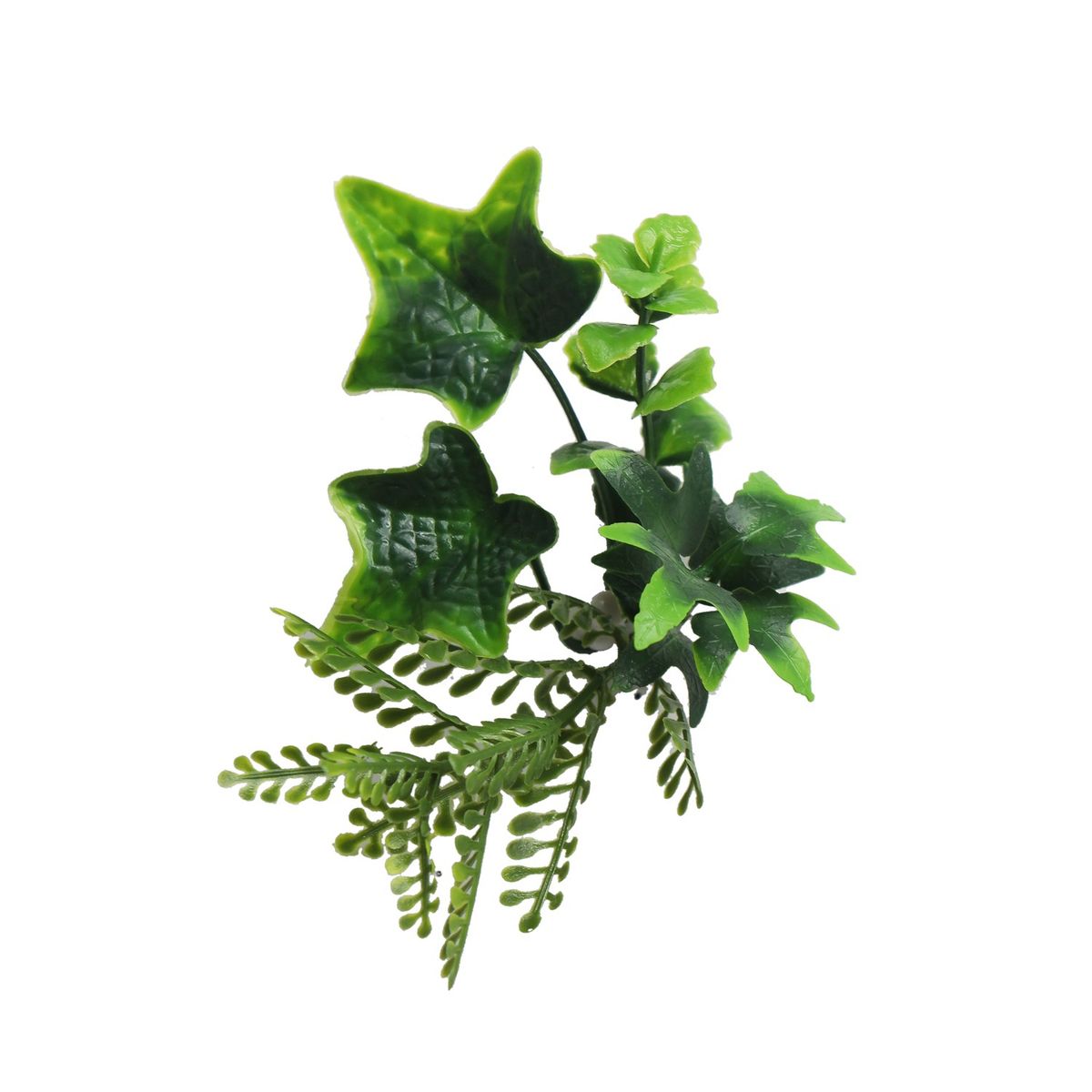 SIGNET CLASSICS - Jardín Vertical Tropical