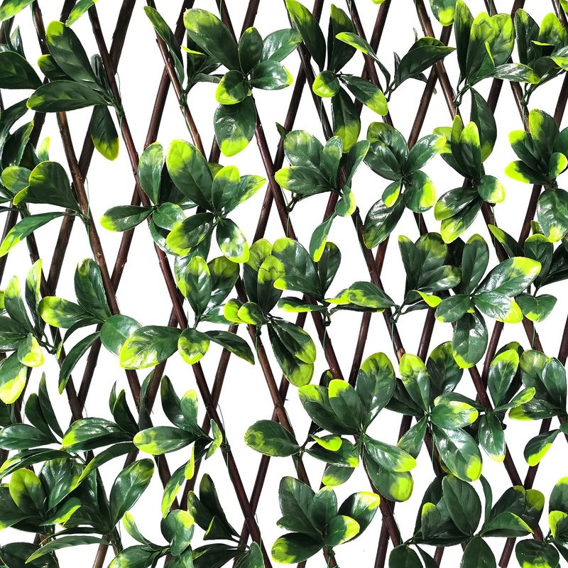 SIGNET CLASSICS - Valla Artificial Pared Willow
