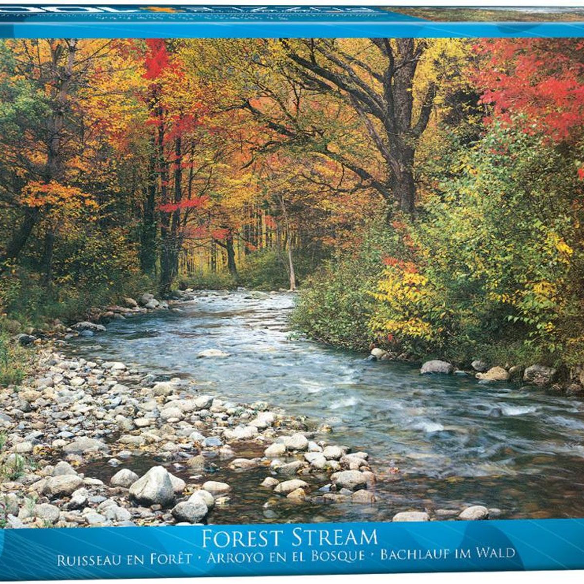 EUROGRAPHICS - El bosque