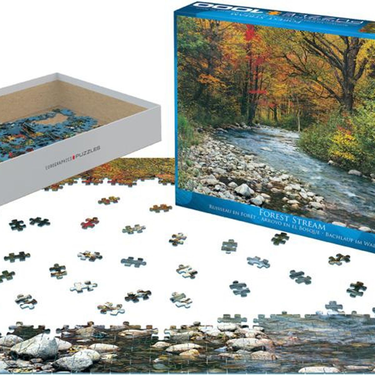 EUROGRAPHICS - El bosque