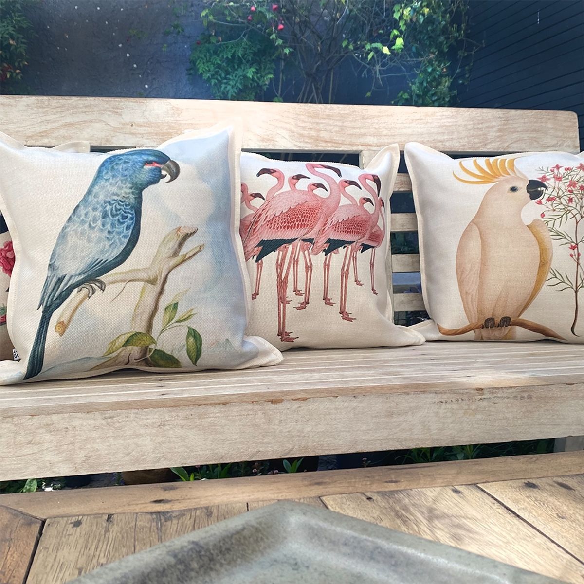 TUYO PRINT - Cojin Cacatua-Blanca 45x45