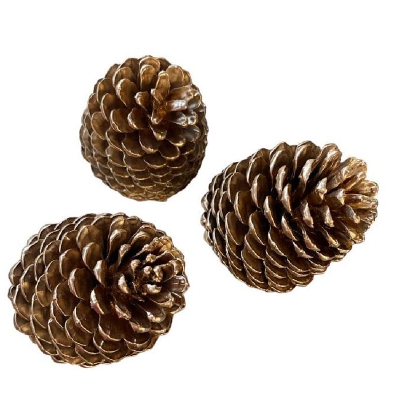GENERICO - SET 6 PIÑA DECORACIÓN NAVIDAD (NATURAL) DORADA