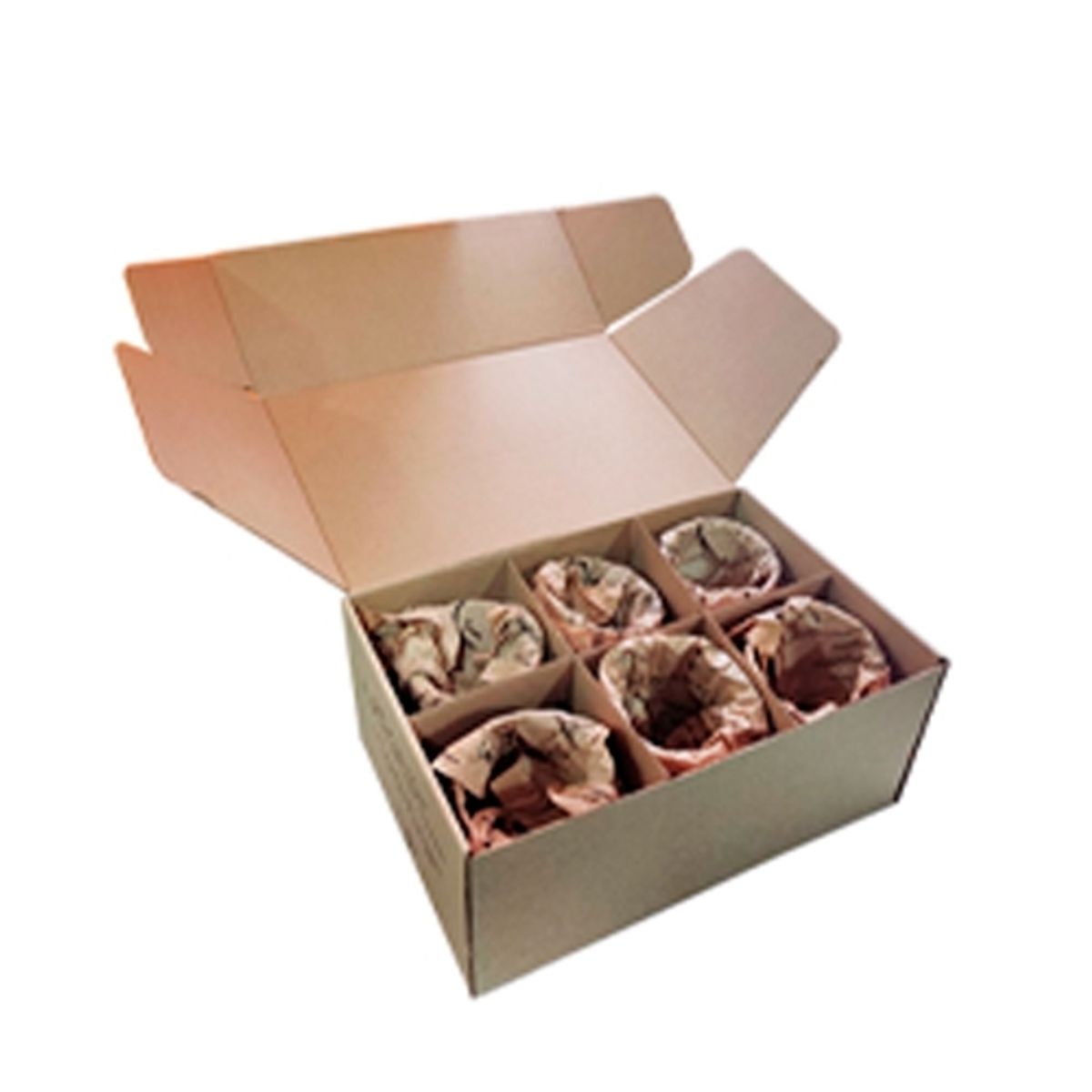 PERFECT CLASS - Set 6 Vasos Cerveceros Doble Pared 350ml