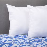 Plumon Mexico Azul 2 Plazas + Pack Almohadas Blanco
