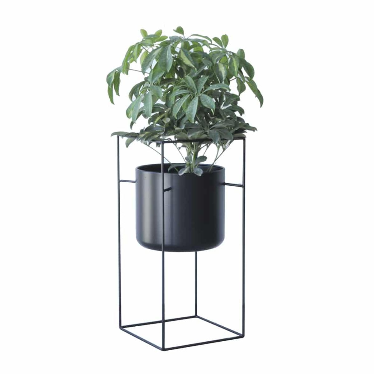 LA SILLERIA - MACETA TOKYO