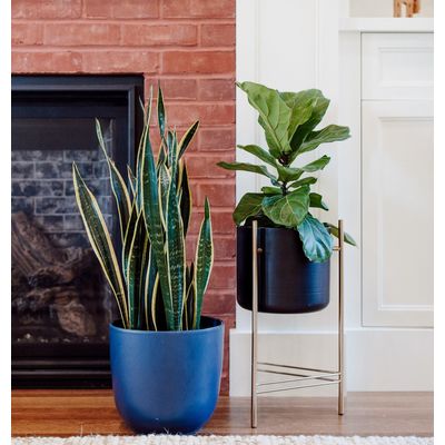 Imagen 2 del producto MACETA NÓRDICA M Negra