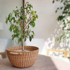 GENERICO - Cesta Fibras Naturales 24cm de diámetro