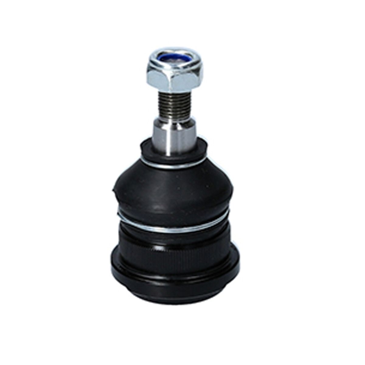 GENERICO - Rotula Proton Natura 95/99