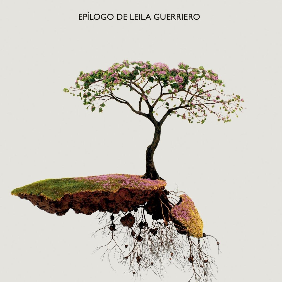 TOP10BOOKS - LIBRO Bonsai - Bonsai