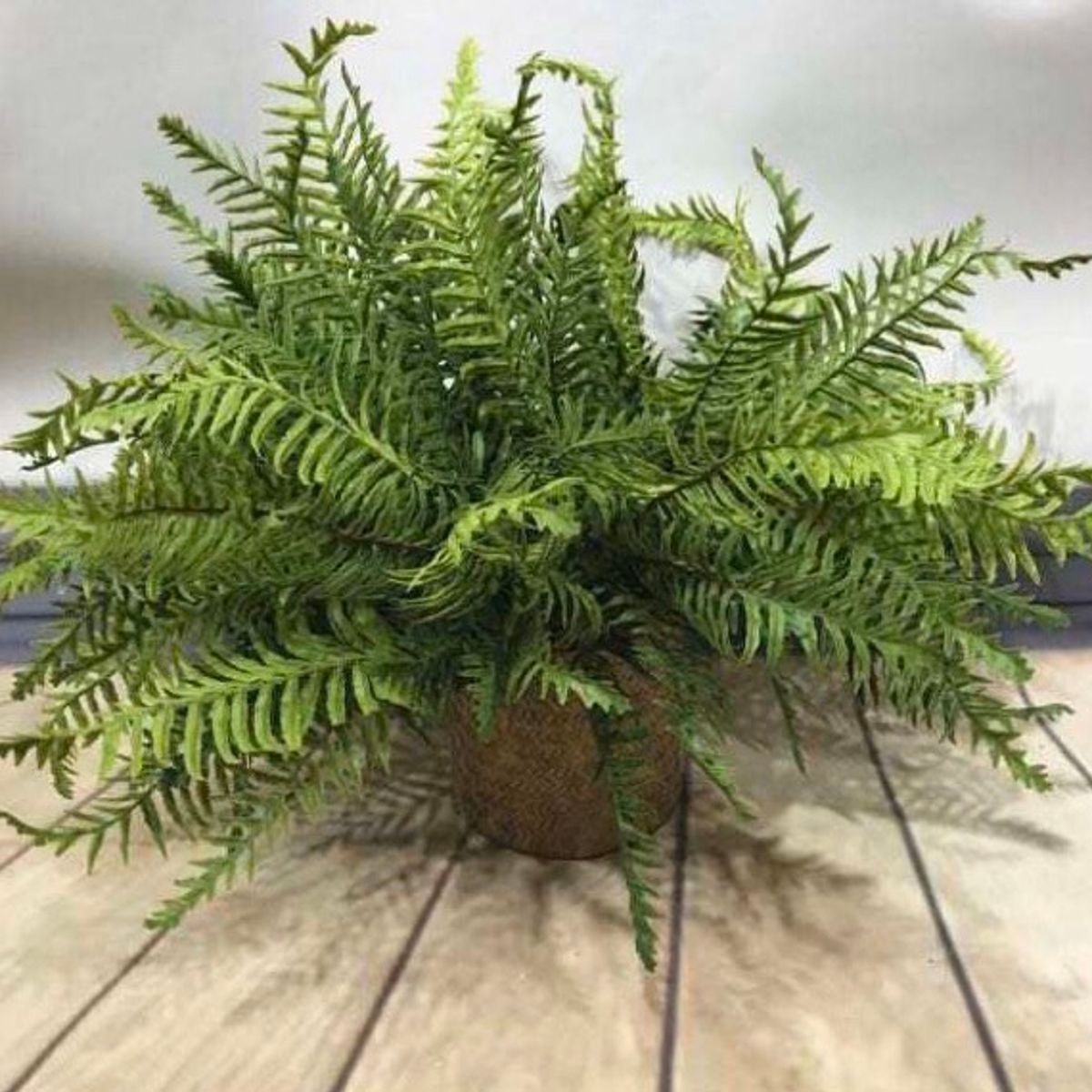 GENERICO - Planta Artificial Decorativa Planta Decoración Hogar Muy Real