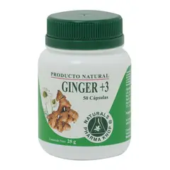 KNOP - Ginger 3