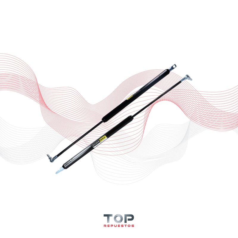 GENERICO - Par Amortiguadores Portalon Subaru Xv 12/18