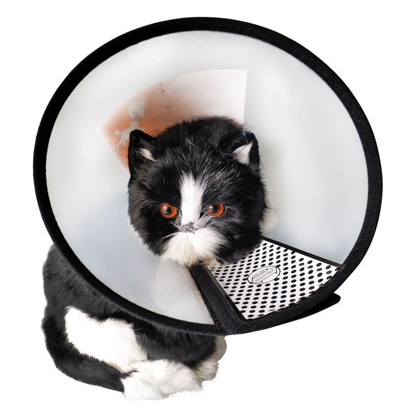 GENERICO - Collar Isabelino Para Mascota Talla 3