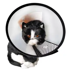 GENERICO - Collar Isabelino Para Mascota Talla 3