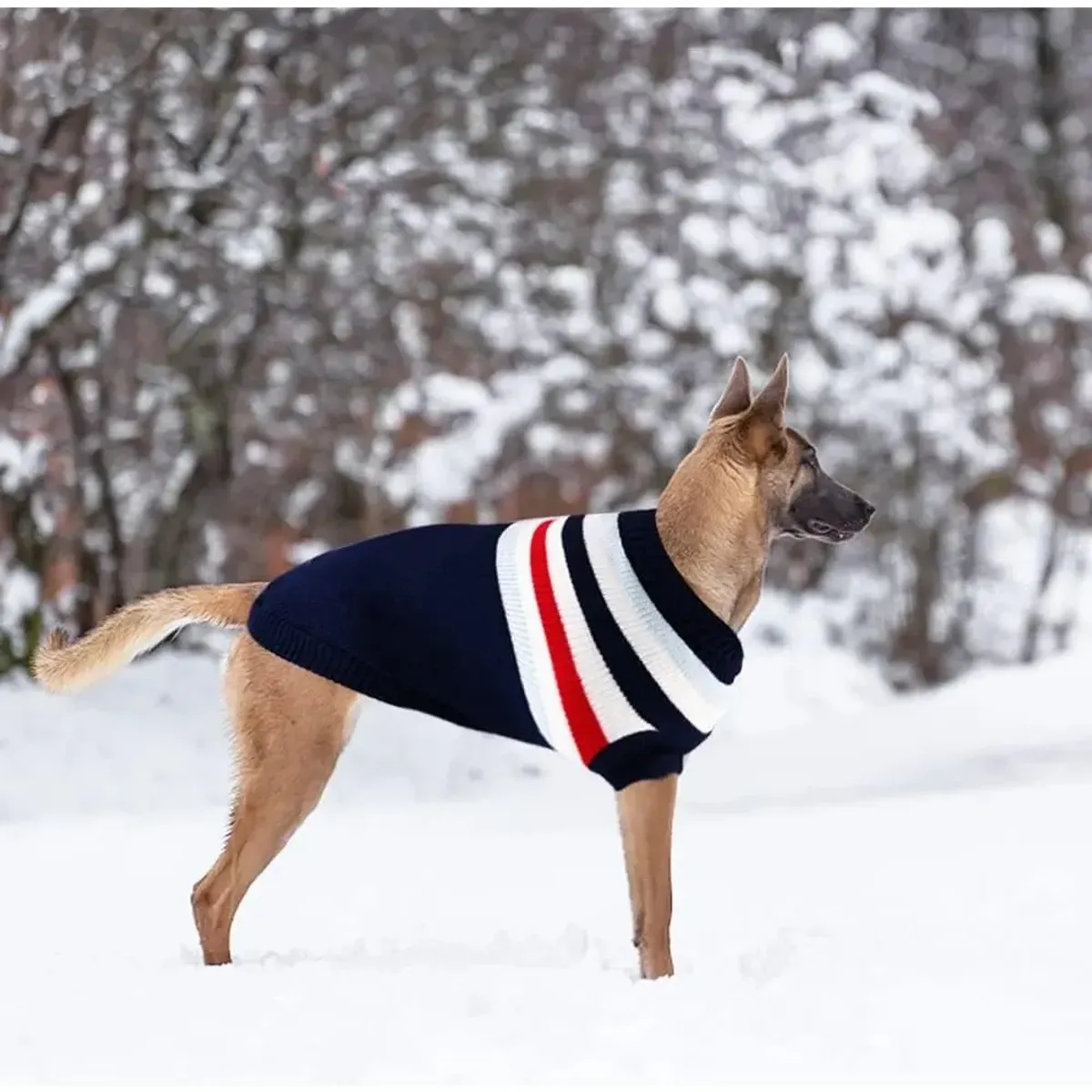 KUANGYE - Ropa Para Perros Suéter Labrador Golden Retriever Alaska