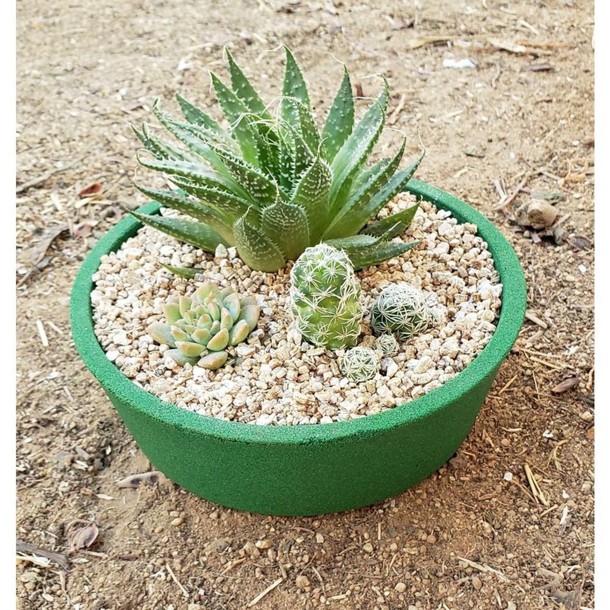 DECOGREEN - Macetero de Arena Biodegradable Decogreen Suculenta - Verde 16x16x5