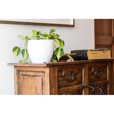 Imagen 2 del producto Macetero de Bamboo Biodegradable Actual - Blanco 24x24x18