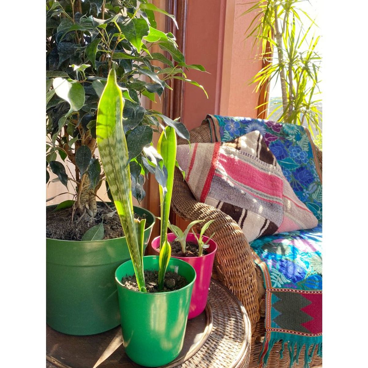 DECOGREEN - Macetero de Bamboo Biodegradable Decogreen Flores - Verde 13x13x14.5