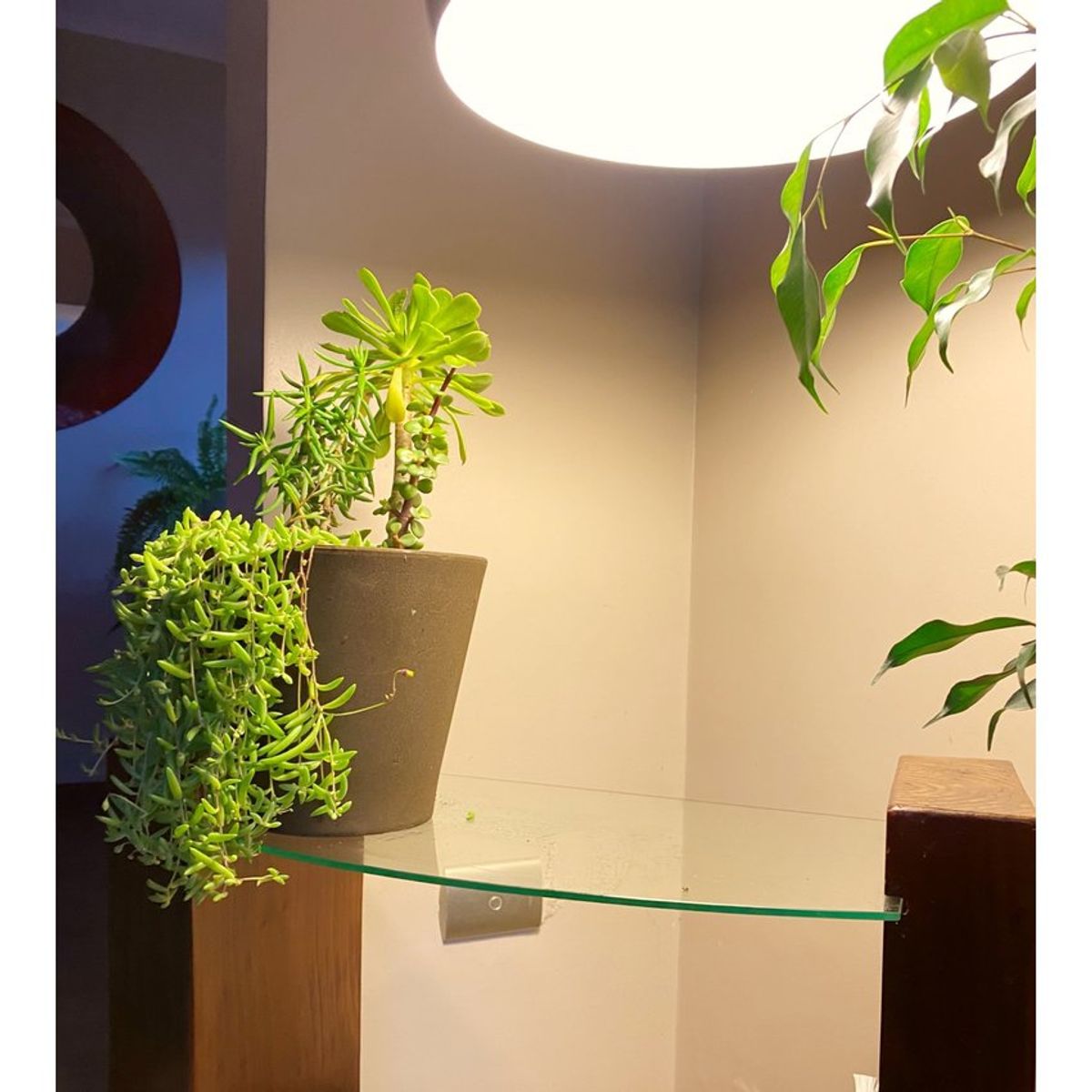 DECOGREEN - Set de 4 Maceteros de Arena 1 gris, 2 rojo, 1 verde