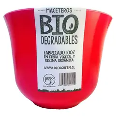 DECOGREEN - Macetero de Bamboo Biodegradable Curvo-Purpura 165x165x13