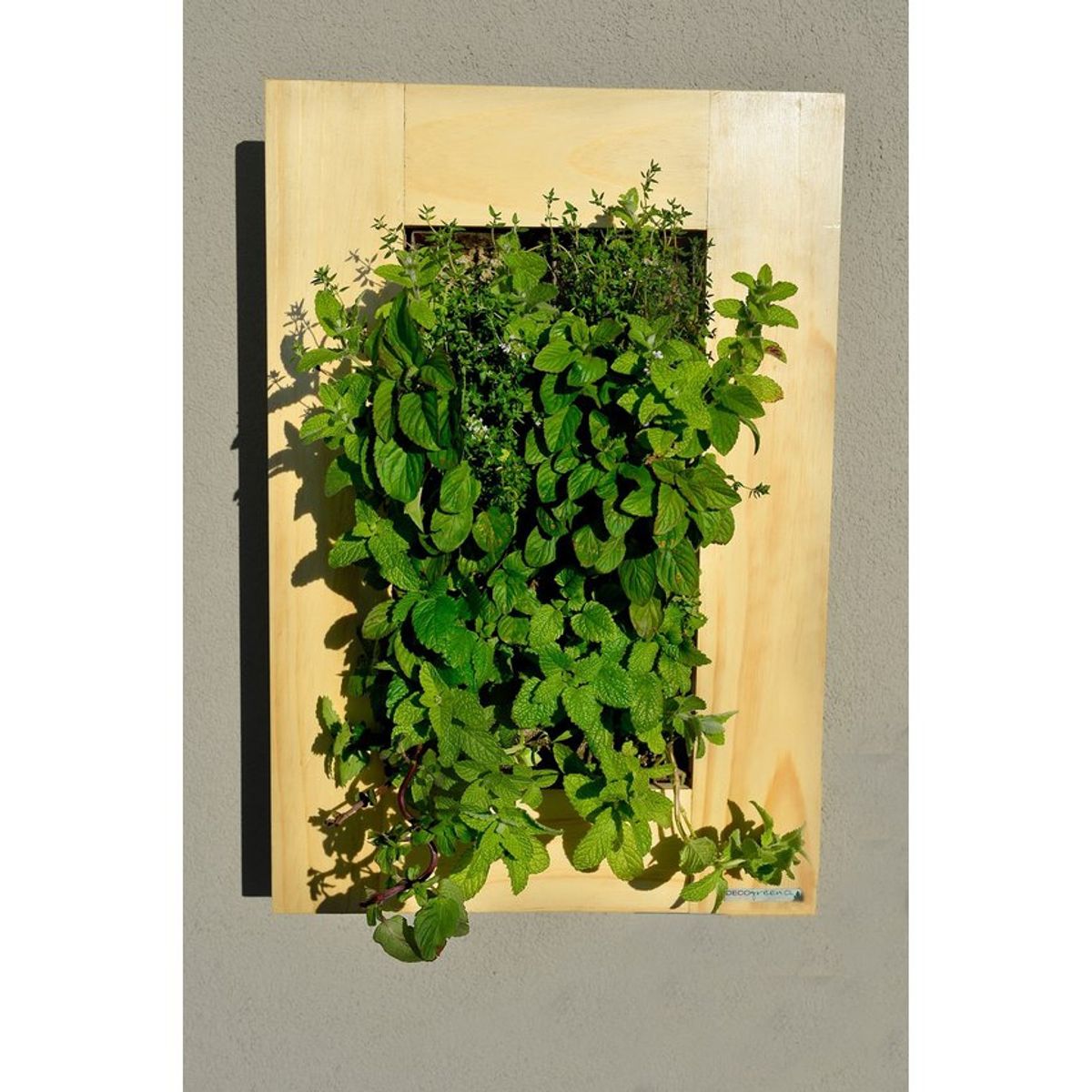 DECOGREEN - Jardín vertical  Cuadro Verde - Natural