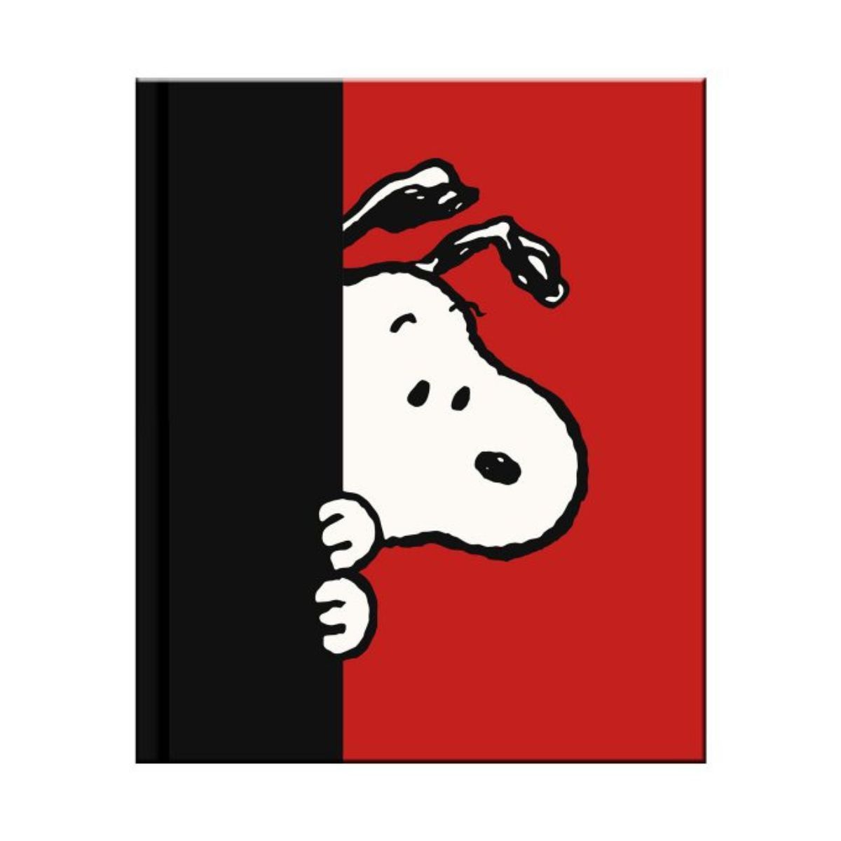 PREMIUM - Set De Mini Cuadernos Con Caja - Snoopy Peanuts