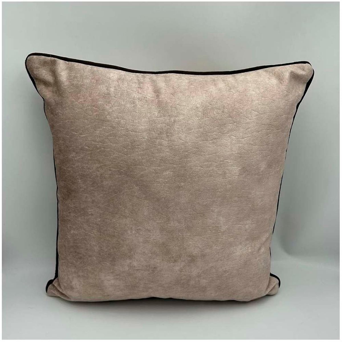 GENERICO - Fundas De Cojín Beige de Cuero sintetico pack de 02 unidades.