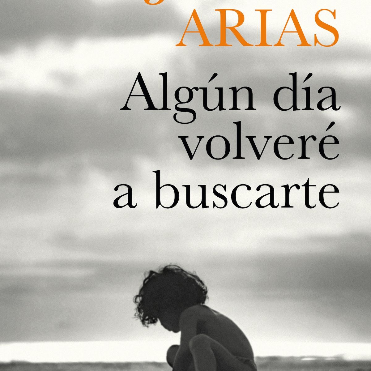 TOP10BOOKS - LIBRO Algún Día Volveré A Buscarte - Algún Día Volveré A Buscarte