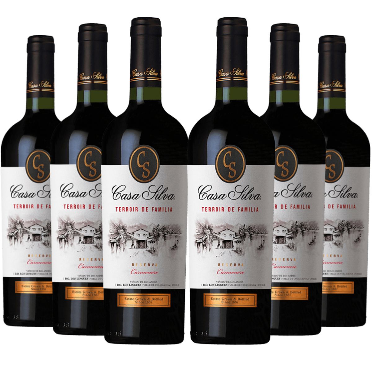 CASA SILVA - 6 Vinos Casa Silva Terroir De F. Reserva Carmenere