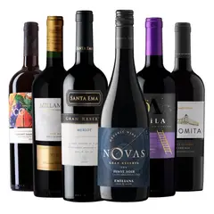 BBVINOS - 6 Vinos Mix Plus Gran Reserva Tintos - Rojo