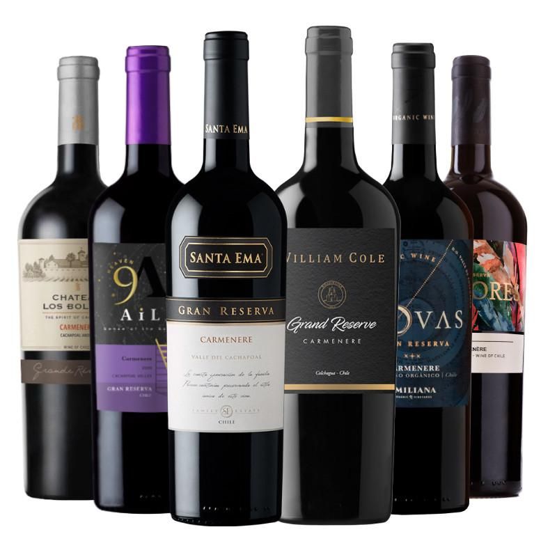 BBVINOS - 6 Vinos Mix Plus Gran Reserva Carmenere - Rojo