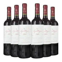APALTAGUA - 6 Vinos Select Reserva Cabernet Sauvignon