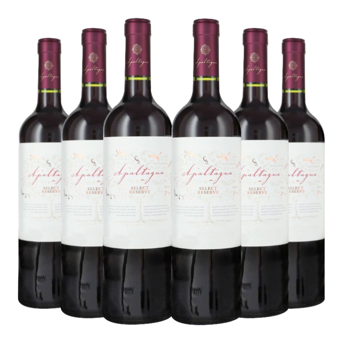 APALTAGUA - 6 Vinos Apaltagua Select Reserva Carmenere